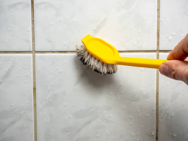 Best Water Damage Restoration  in Alb, IA