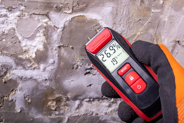 Albia, IA Mold Removal Company