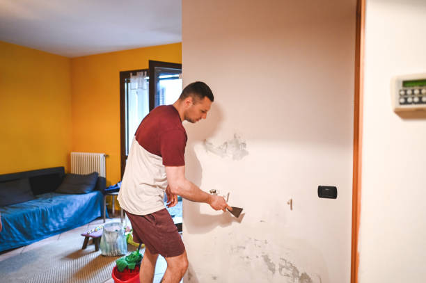 Best Mold Cleaning Services  in Alb, IA